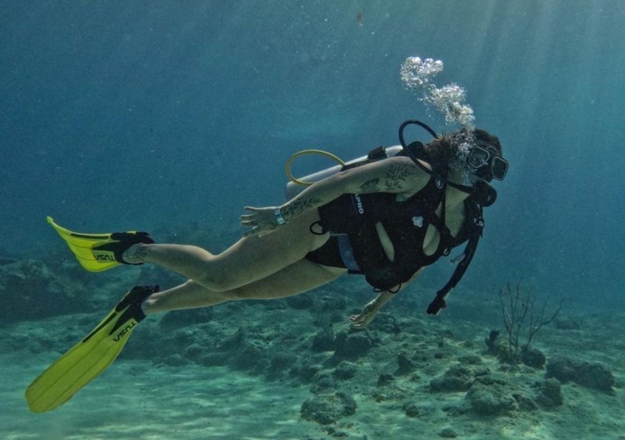 San Andrés Island: Personalized Mini Scuba Diving Course - Key Points