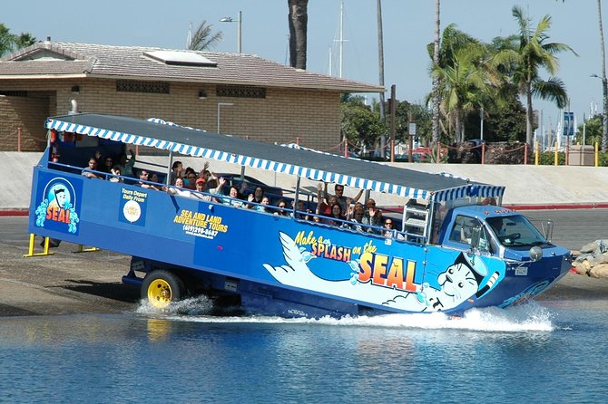 San Diego Shore Excursion: San Diego Seal Tour - Key Points