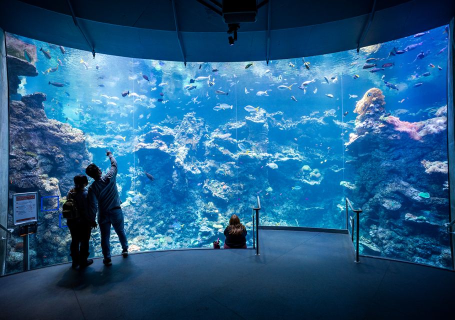 San Francisco: California Academy of Sciences Entry Ticket - Key Points