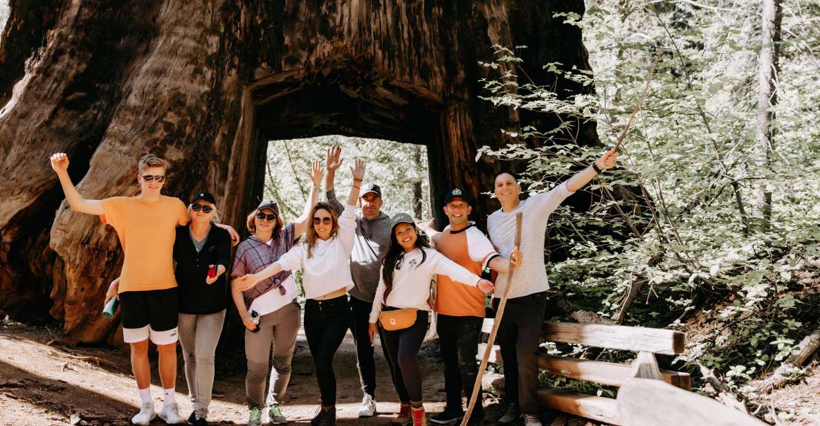 San Jose: Yosemite National Park and Giant Sequoias Trip - Key Points