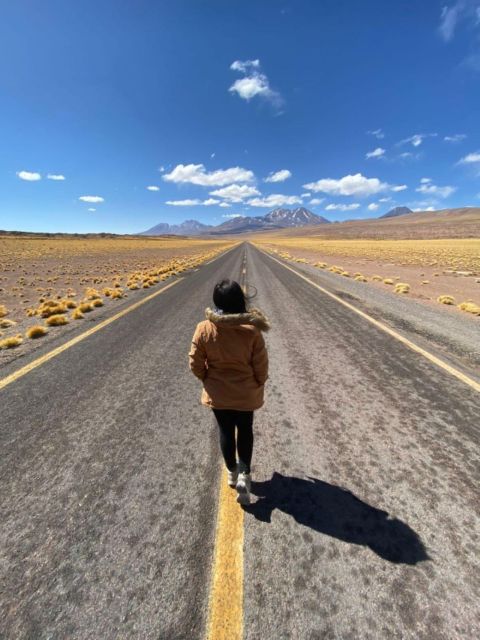 San Pedro De Atacama: Red Stones and High Plateau Lagoons - Key Points