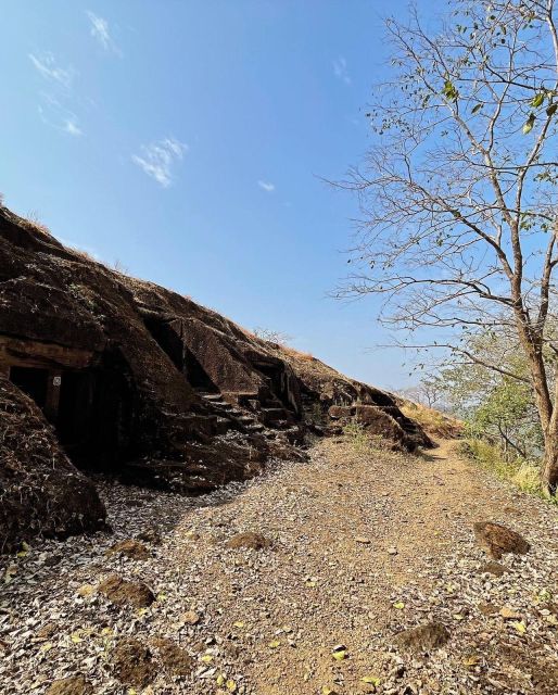Sanjay Gandhi National Park + Kenheri Caves + Lion Safari - Key Points