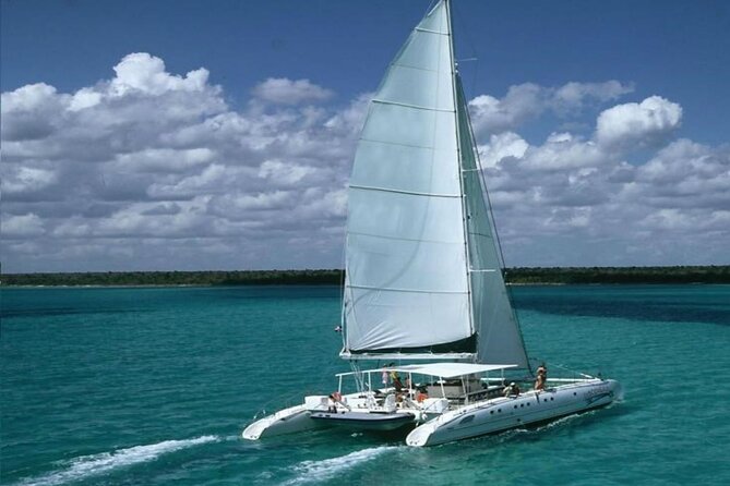 Saona Island Catamaran Adventure With Free Food and Transportation - Key Points