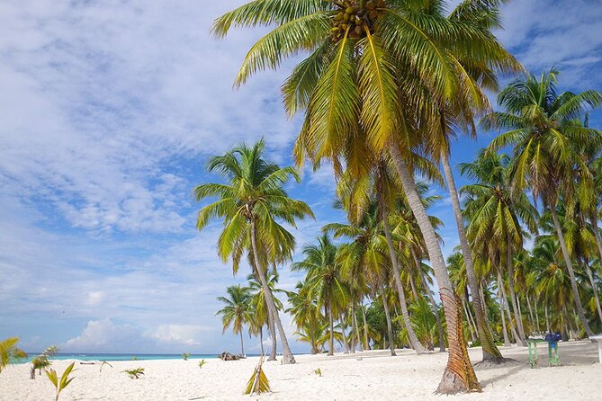 Saona Island Full Day Excursion From Punta Cana + Catamaran Party - Meeting and Pickup Details