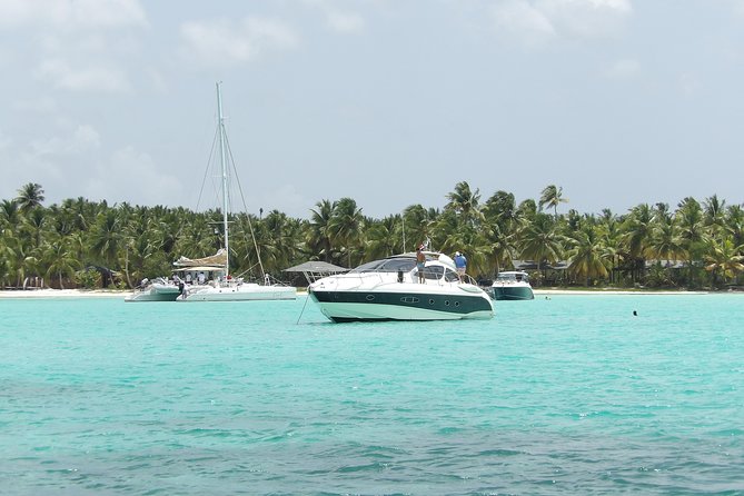 Saona Island Full Day - Overview of the Tour