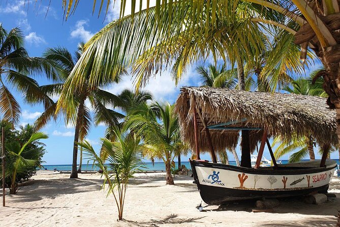 Saona Private Full-Day Tour From Punta Cana - Key Points