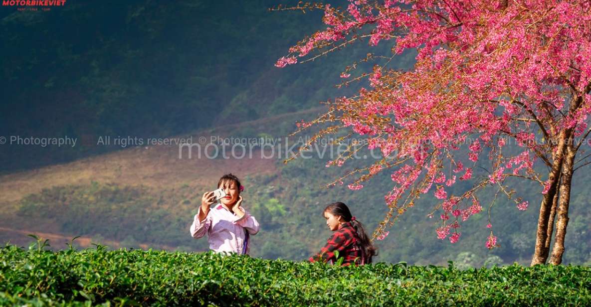 Sapa 2 Days 1 Night - Classic Hikking Tour - Key Points