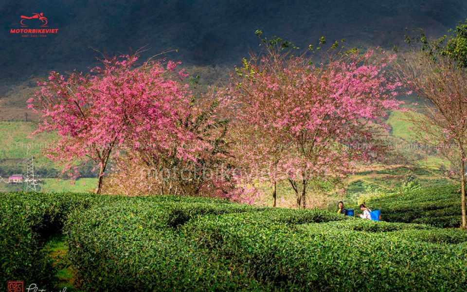 SAPA 3 DAYS 2 NIGHTS PACKAGE - Key Points