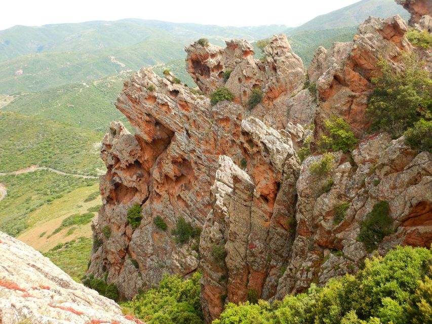 Sardinia, Monte Ruiu: Punta Manna Ring Hiking Guided Tour - Key Points