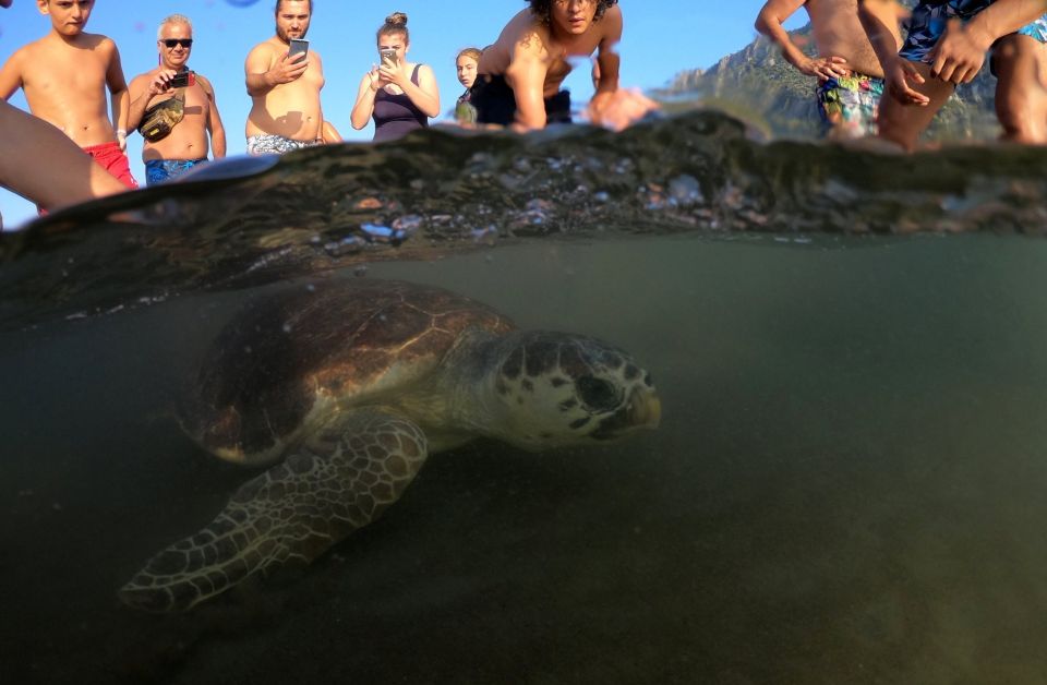 Sarigerme: Dalyan, Turtle Beach, Mud Bath, & King Tombs Tour - Key Points
