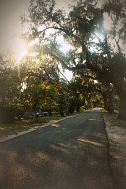 Savannah: Bonaventure Cemetery With Shannon Scott - Key Points