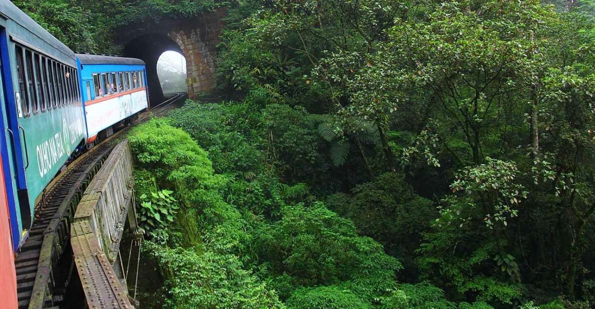 Scenic Rails: Curitiba to Morretes Adventure by Train - Overview of the Scenic Journey