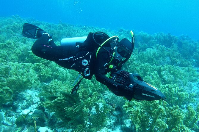 Scuba Diving With Sea Scooter (Certified Divers Only)