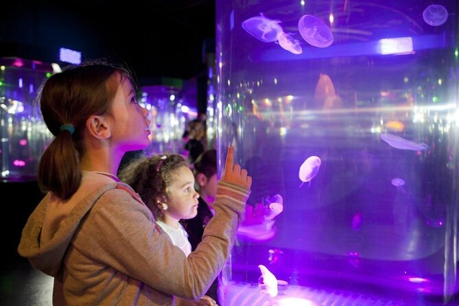 SEA LIFE Paris Val Deurope Aquarium Entry Ticket - Good To Know