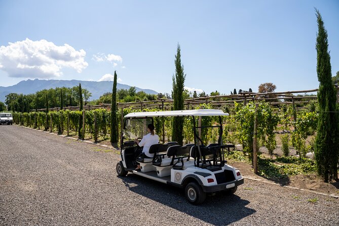 Seafood Lunch With Wine Tasting & Tour on a Golf Cart - Good To Know