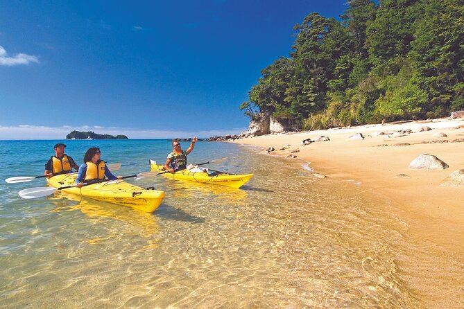 Seal Sanctuary Tour - Guided Kayaking - New Zealand - Key Points