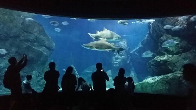 Sealife Bangkok + Madame Tussauds Bangkok - Key Points