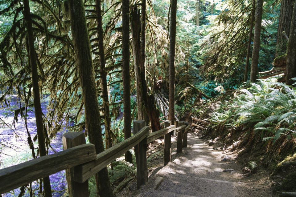 Seattle And Olympic NP Self-Guided Audio Bundle Tour - Key Points