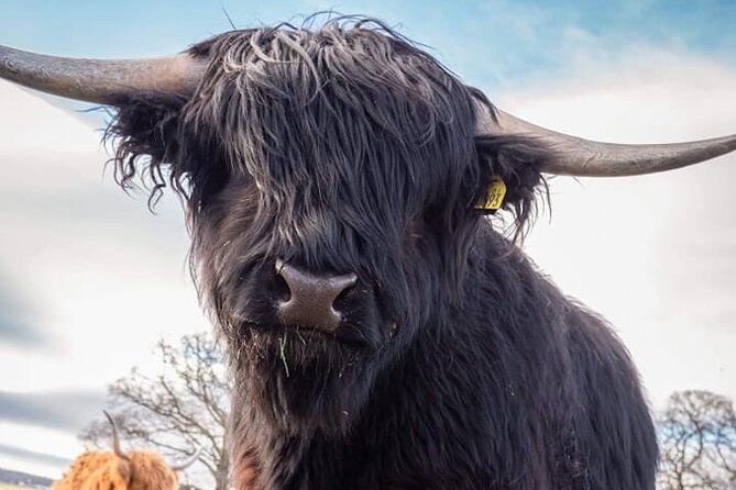 Secret Loch Ness, Inverness & Cawdor Castle Tour From Invergordon - Tour Overview