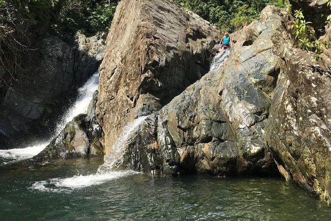 Self-Drive El Yunque Rainforest Guided Tour - Highlights of the Guided Tour