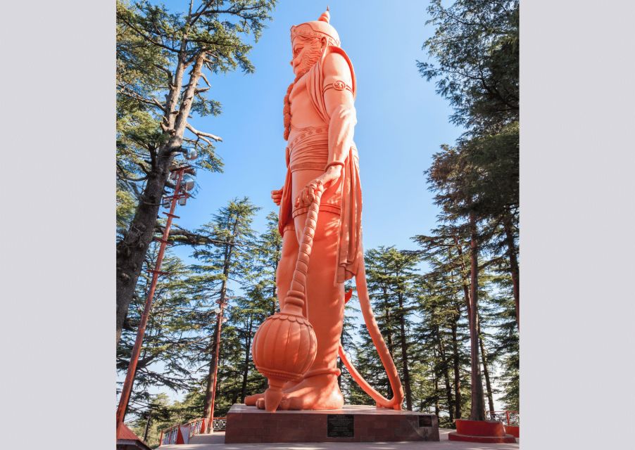Shimla Nature Walk (3 Hours Guided Trekking Experience) - Key Points