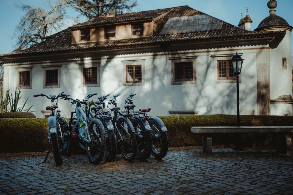 Sintra: 8-Hour Fat E-Bike Rental - Key Points