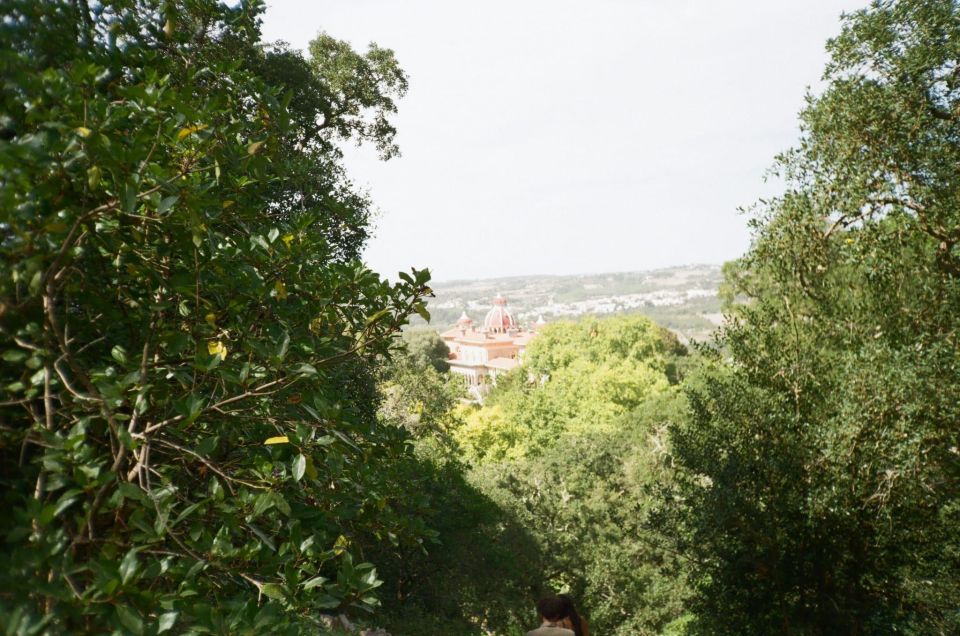 Sintra: Full Day Guided Tours by Van With Local Guide - Key Points