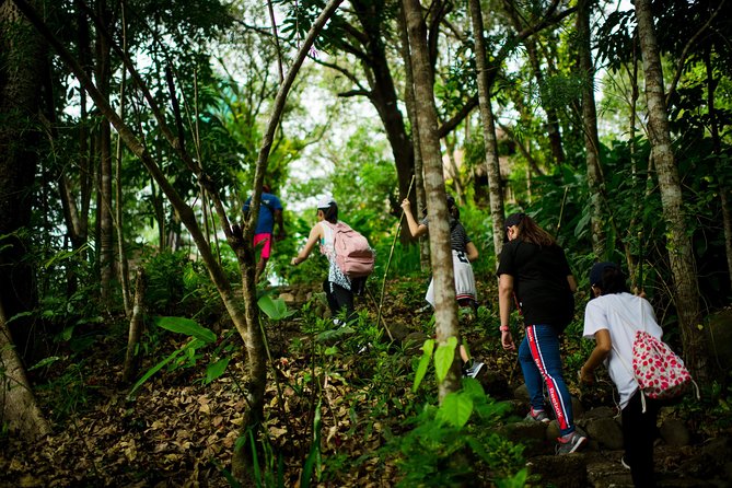 Skip the Line: Hike Eat Swim at Mount Purro Nature Reserve Ticket - Overview of Mount Purro Nature Reserve