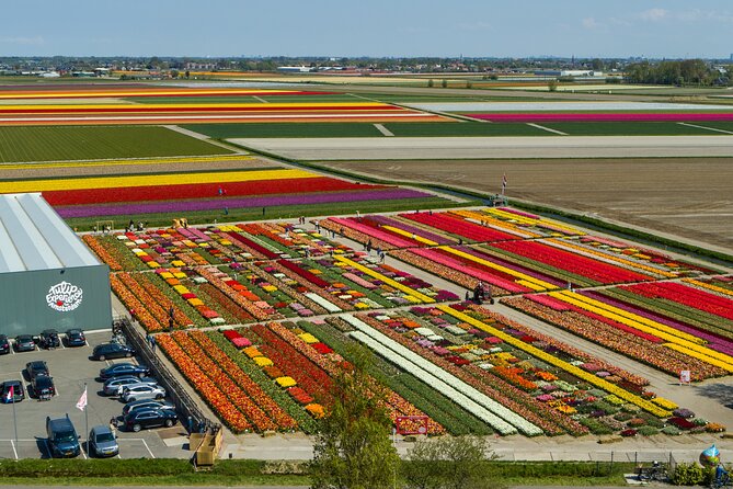 Skip-The-Line Keukenhof Gardens Sighseeing Tour From Amsterdam - Good To Know