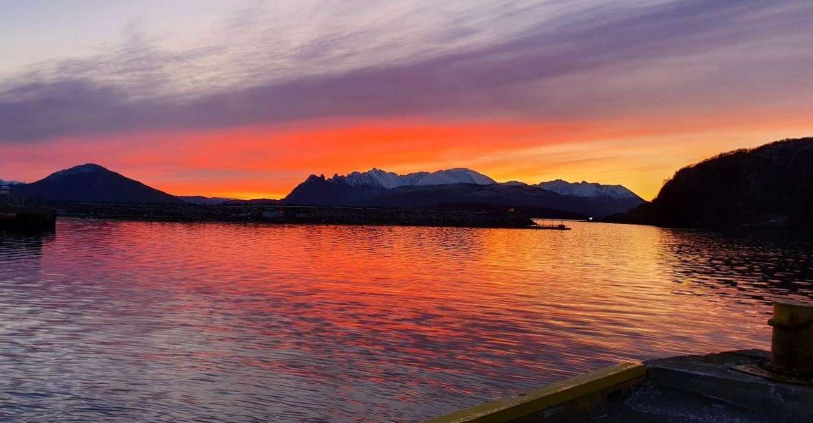 Skjervøy: Fjord Charter Adventure - Good To Know