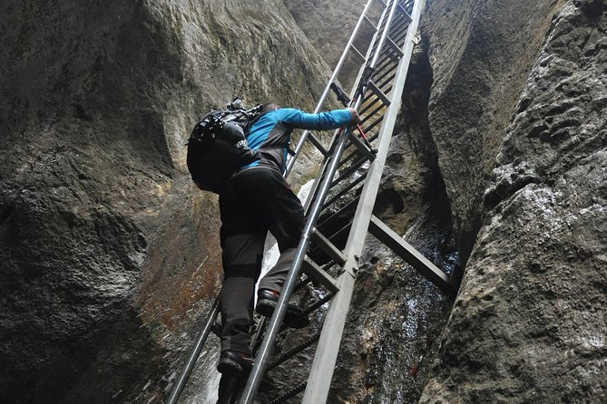 Small-Group Day Trip to the Epic 7 Ladders Canyon From Brasov - Key Points