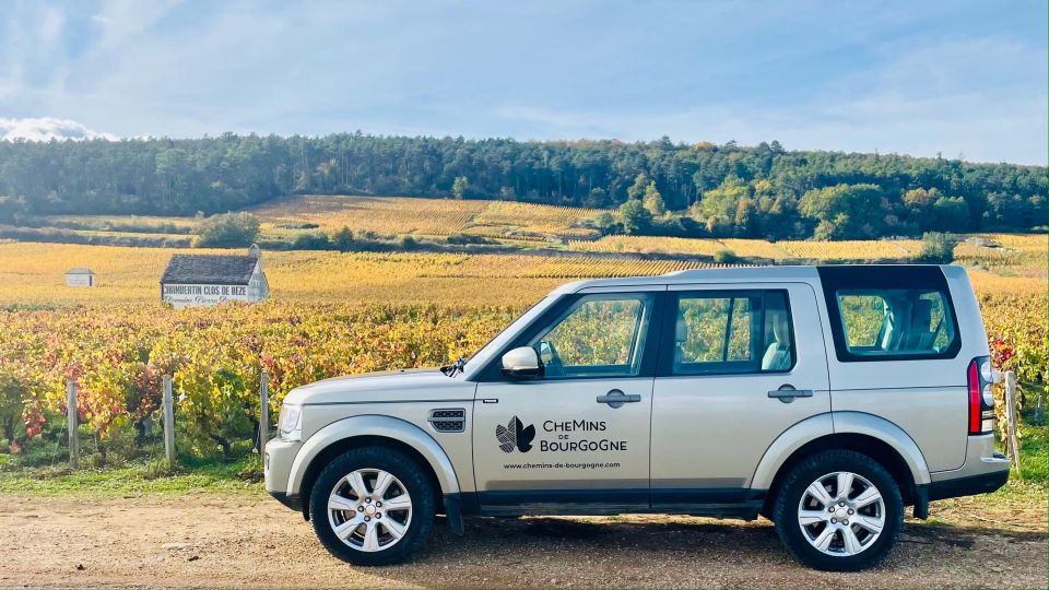 Small Group Full Day Tour in the Burgundy Vineyards - Itinerary Highlights