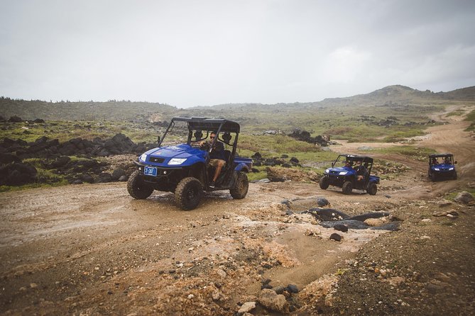 Small-Group Half-Day UTV Adventure Morning Tour in Aruba - Tour Overview
