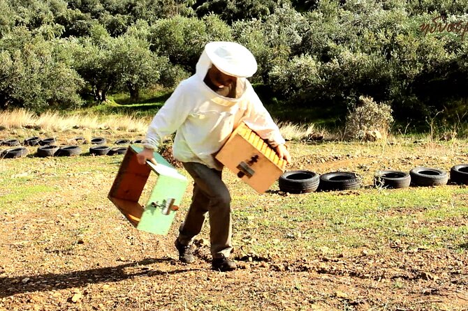 Small-Group Honey & Extra Virgin Olive Oil Tasting Tour in Crete - Good To Know