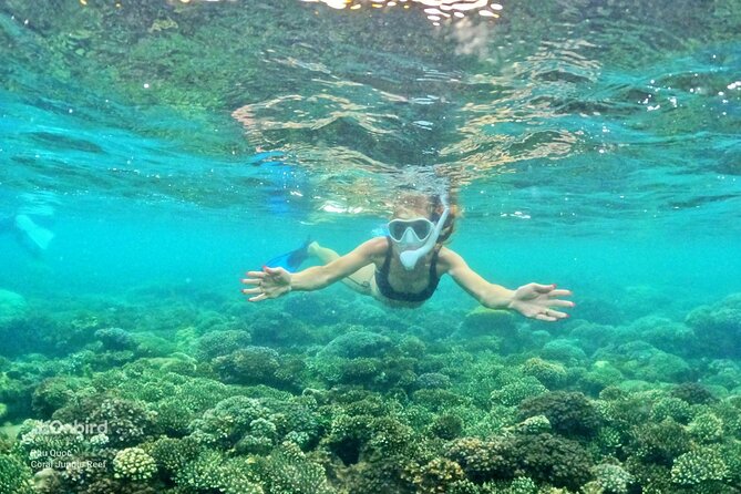[Small-Group] SNORKELING & SUNSET MEAL at Private Beach-Max 9 PAX - Whats Included