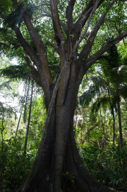 SMR TAYRONA NATIONAL PARK - Trek to Cabo San Juan - Key Points