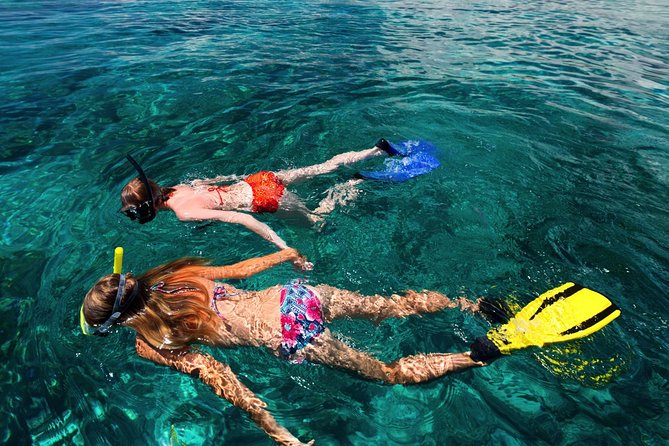 Snorkel the Perfect Tropical Isle Silk Caye With Turtles, Rays and Sharks - Snorkeling Adventures Await