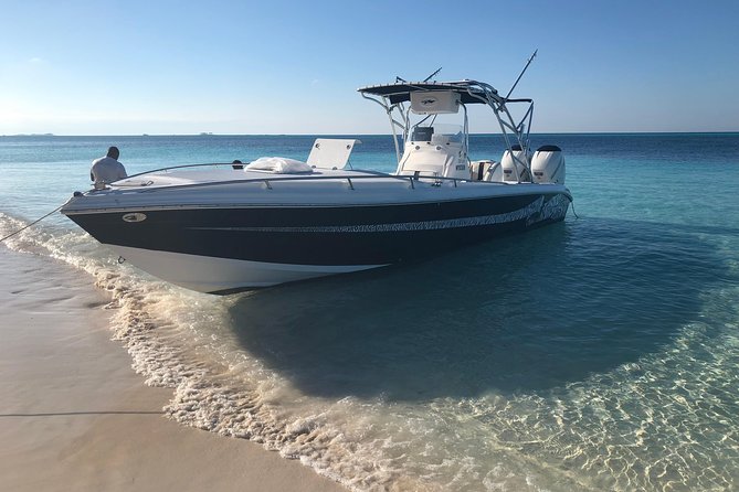 Snorkel With the Green Turtles of Green Cay Bahamas