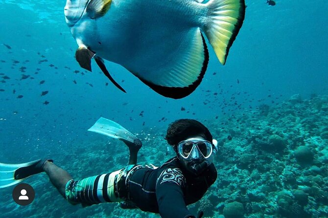 Snorkeling at Blue Lagoon and Hidden Waterfall - Overview of Snorkeling Experience