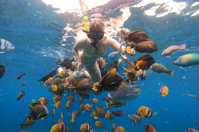 Snorkeling In Nusa Penida Island With Manta Ray From Bali - Key Points