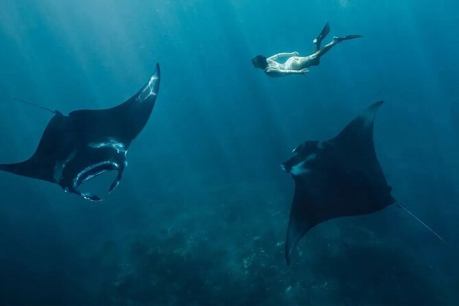 Snorkeling Manta Rays and Land Tour Nusa Penida <> All-Included - Key Points