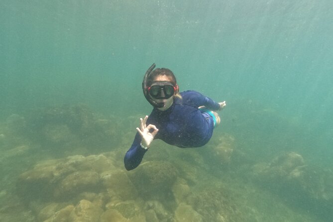 Snorkeling Tour on Macuco Island With Underwater Photos by Zimbros Ecotour - Tour Overview