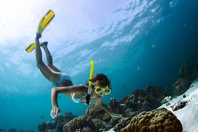 Snorkeling Tour With Fish and Turtles in San Juan - Overview of the Snorkeling Tour
