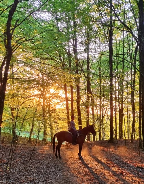 Söderåsen National Park: Horseback Riding Vacation 2 Nights - Key Points