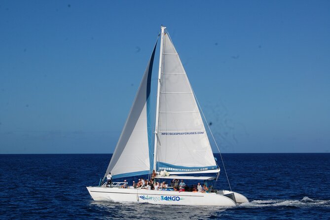 Soufriere Catamaran Excursion & Sapphire Falls Hike - Tour Overview