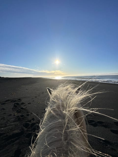 South of Iceland: Black Beach Riding Tour - Key Points