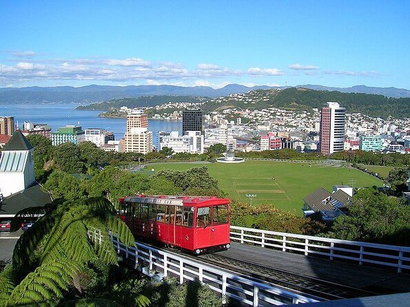 Spectacular Wellington: Full Day Private Sightseeing Tour - Key Points