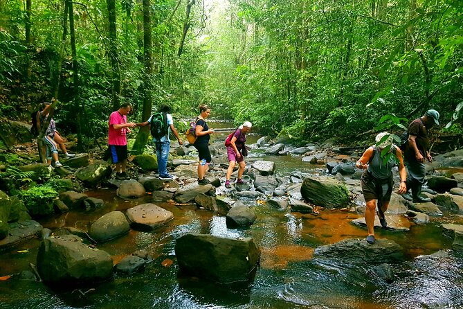 Sri Lanka Sinharaja Rain Forest Tour - Key Points