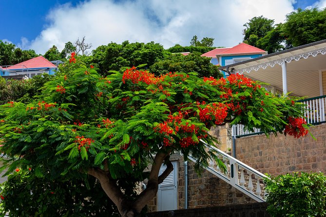 St Barts Daytrip From St Maarten - Itinerary Overview
