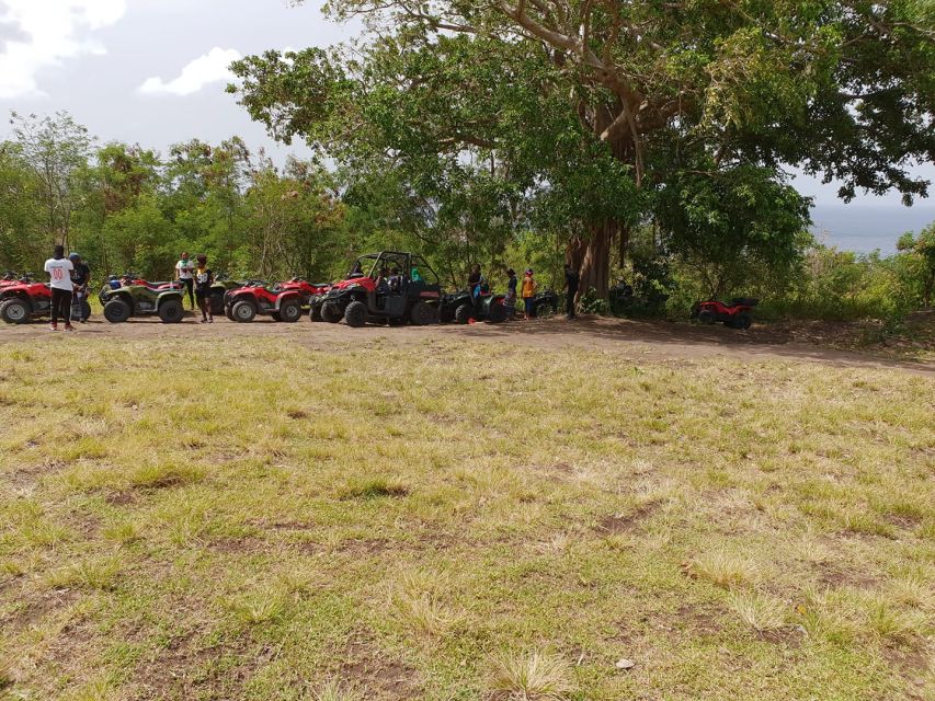 St. Kitts: Jungle Bikes ATV and Beach Guided Tour - Key Points